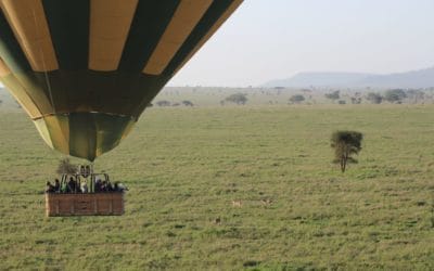 Im Ballon über die Serengeti