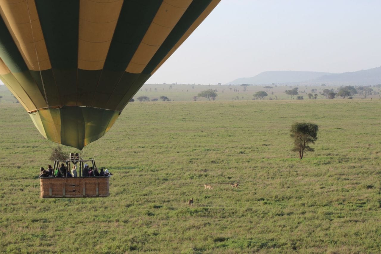 A large green field with trees in the background