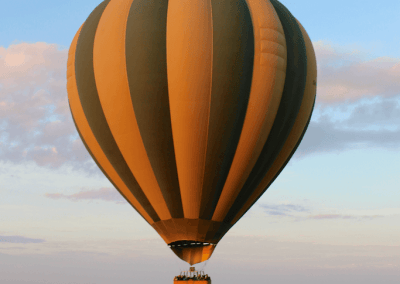 A large balloon in the sky