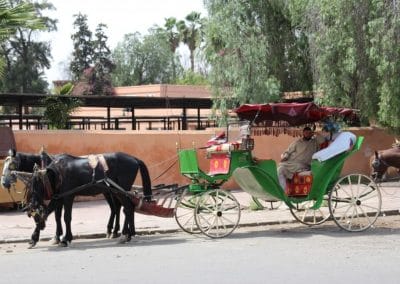 A man riding a horse drawn carriage
