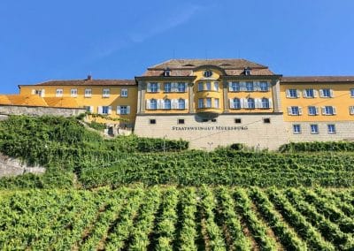 A castle on top of a grass covered field