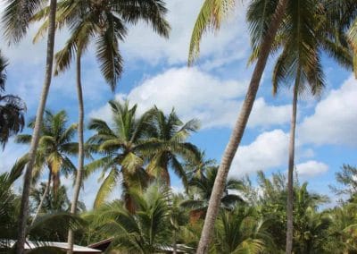 Small Hope Bay Lodge