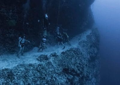 Small Hope Bay Lodge - The Wall