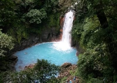 A waterfall in a forest