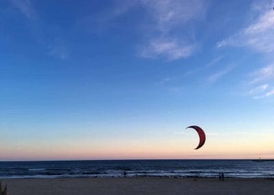 A bird flying over a beach