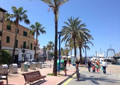A group of people on a sidewalk next to a palm tree