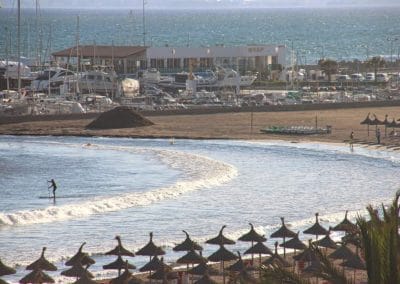 A flock of seagulls standing next to a body of water