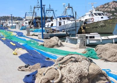 A boat is docked at the beach