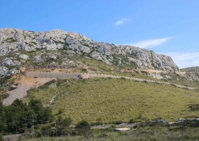 A field with a mountain in the background