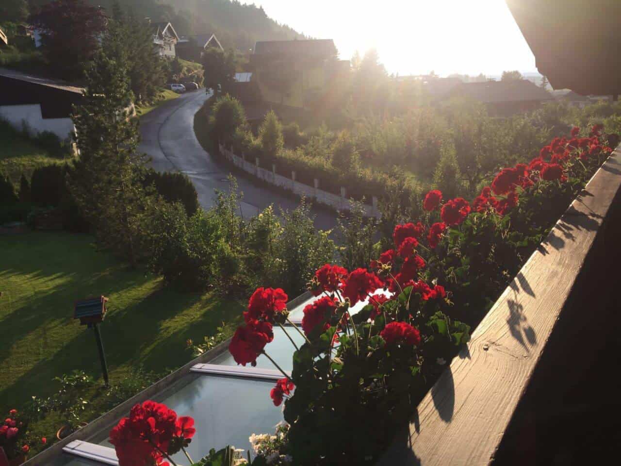 Balkon mit roten Blumen