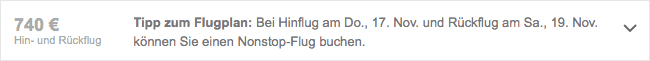 Screenshot Google Flüge Suche: Tipps zum Flugplan