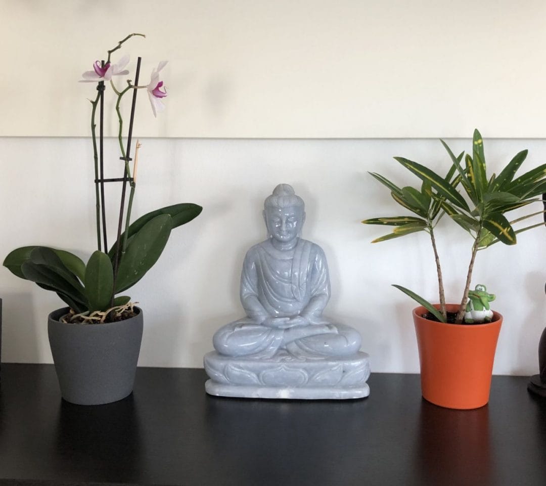 Pflanzen und Buddhafigur auf Sideboard