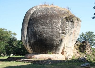 A tree in front of a large rock