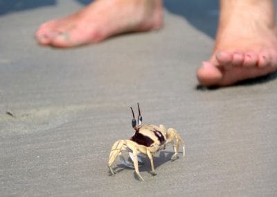 A man with his feet on a beach