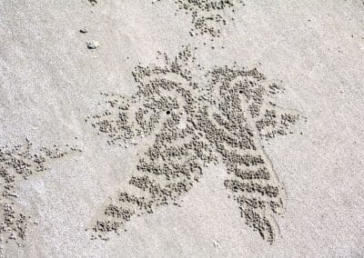 A person walking in the sand