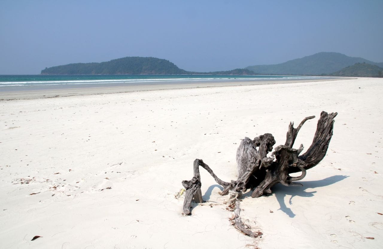 A bird sitting on top of a sandy beach