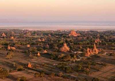 Pagoden zwischen Bäumen