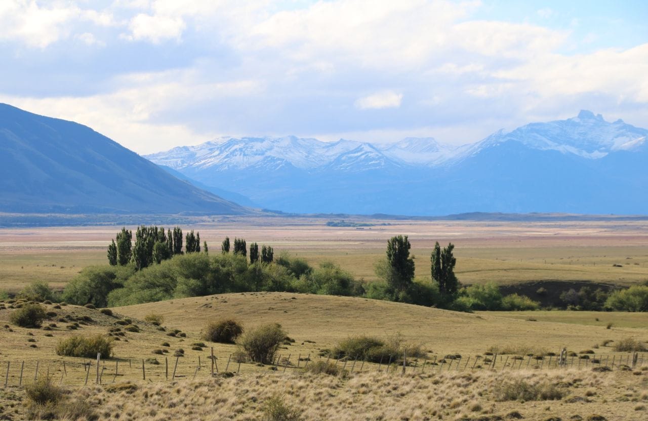 A field with a mountain in the background