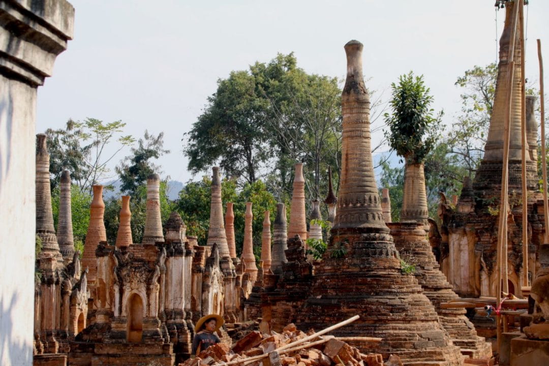 Viele Stupas vor einem Baum im Hintergrund