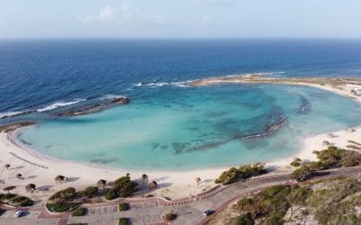 Die 10 schönsten Strände von Aruba