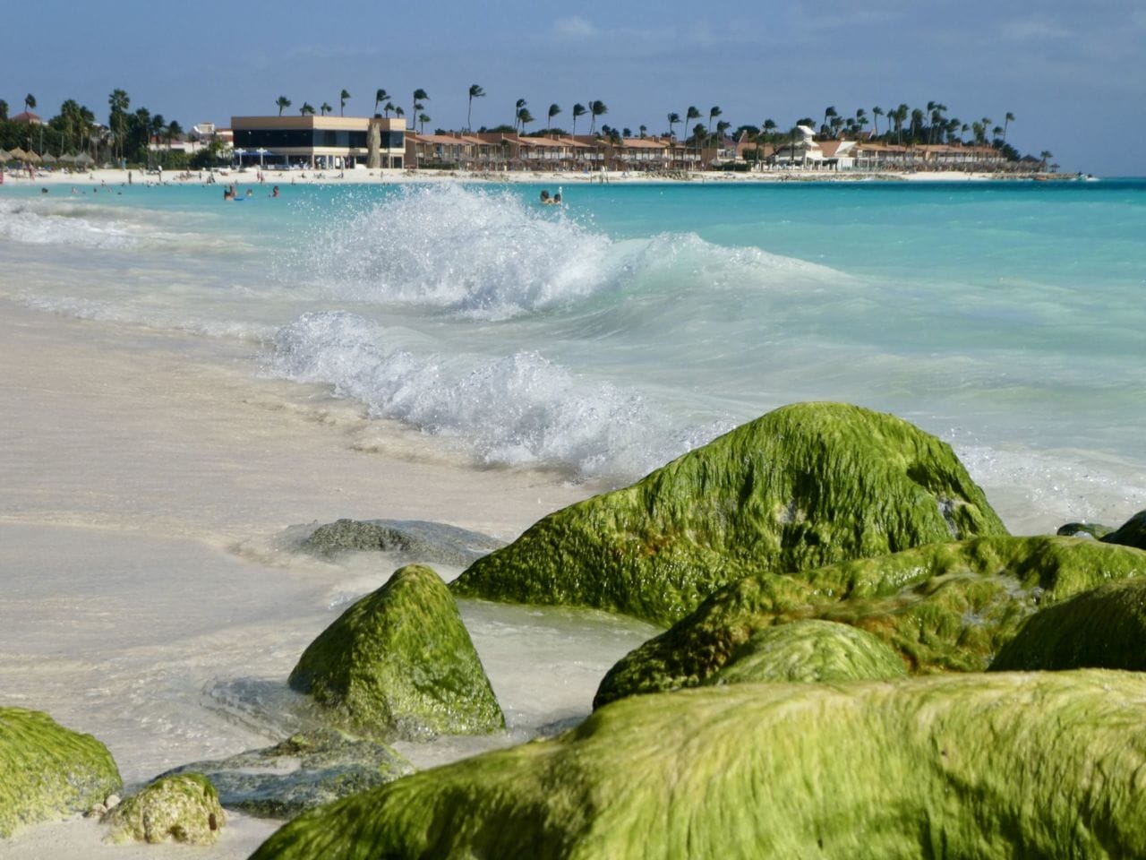 A sandy beach next to a body of water