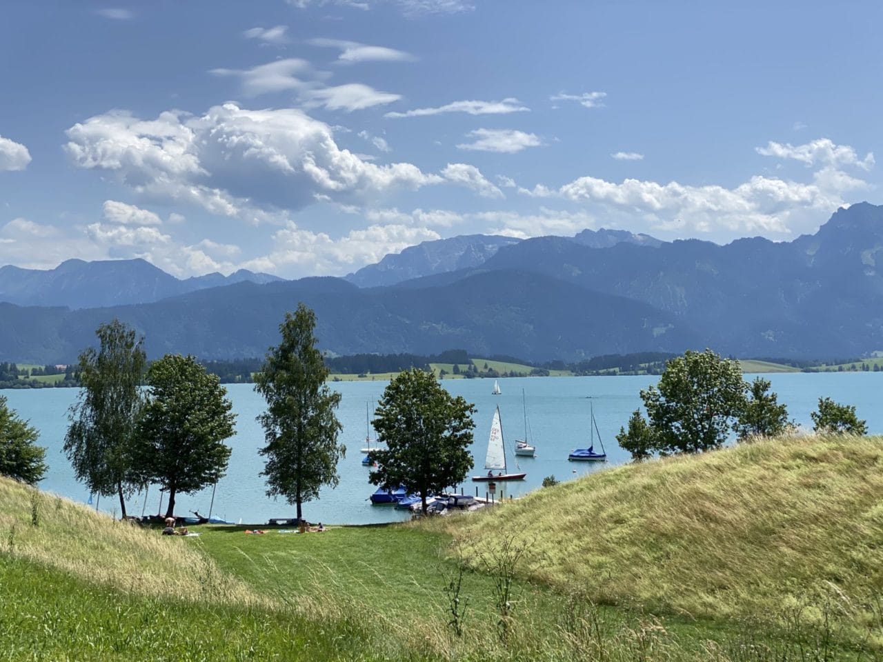 Ein See mit Bäumen und Bergen im Hintergrund