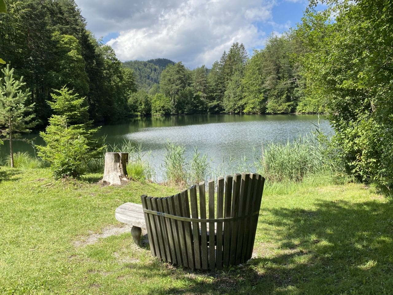 Eine Bank vor einem See im Wald