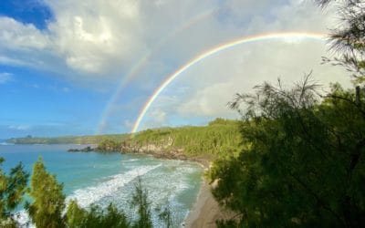 40 Dinge, die Du über Hawaii wissen solltest