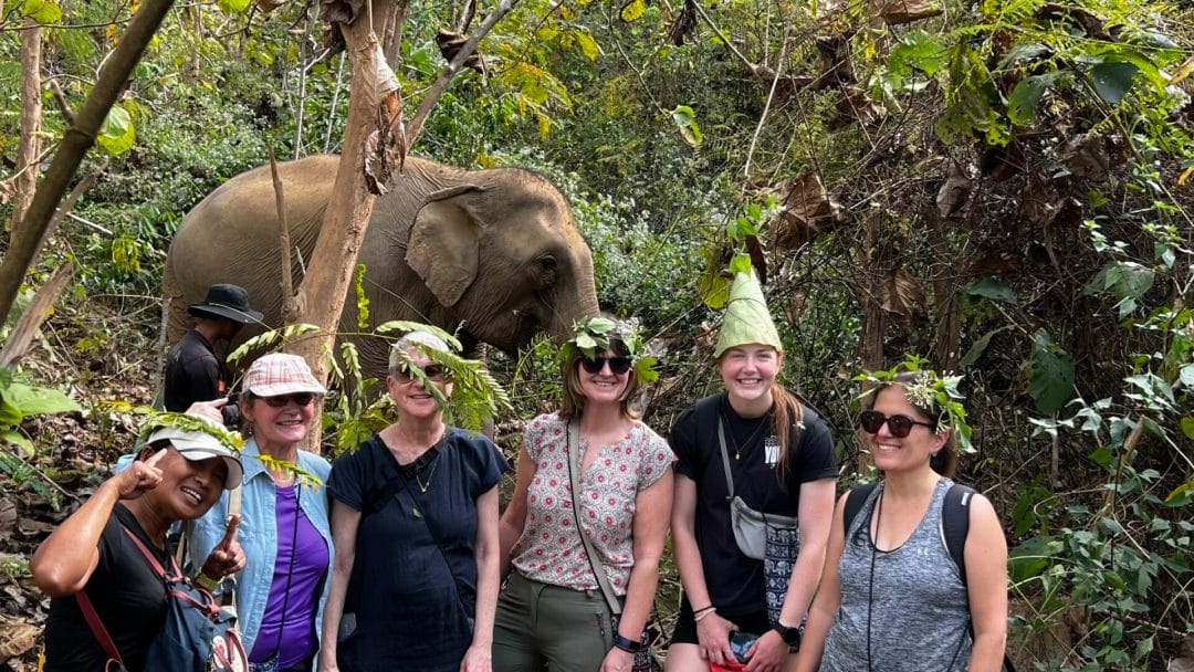 Besucher im Mandalao Elephant Conservation - Laos