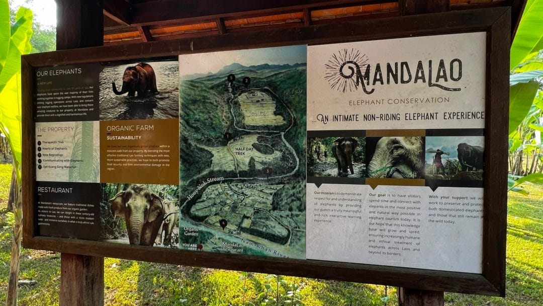 Mandalao Elephant Conservation - Laos