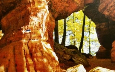 Buchrenzension zu "In Deutschland um die Welt" Ein Bild einer Felsformation mit Bäumen im Hintergrund.