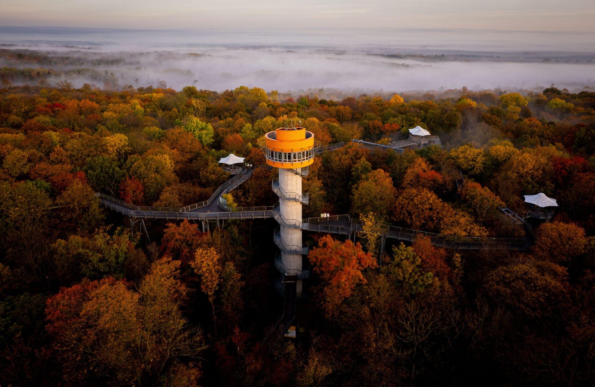 Eine Luftaufnahme eines Wasserturms im Herbst.