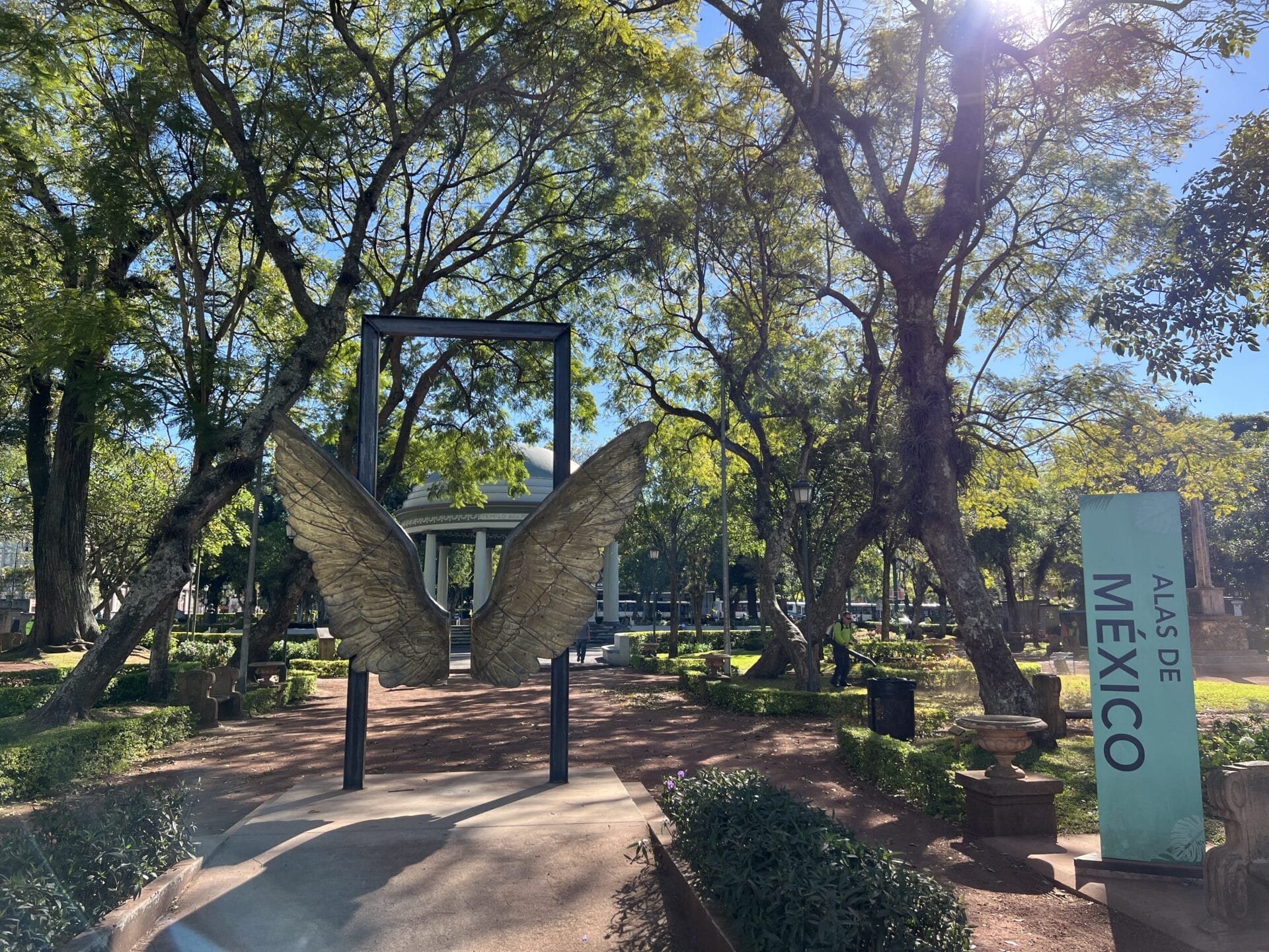Skulptur aus goldenen Schmetterlingsflügeln am Eingang eines von Bäumen gesäumten Parkwegs, mit einem grünen „Museo“-Schild auf der rechten Seite.
