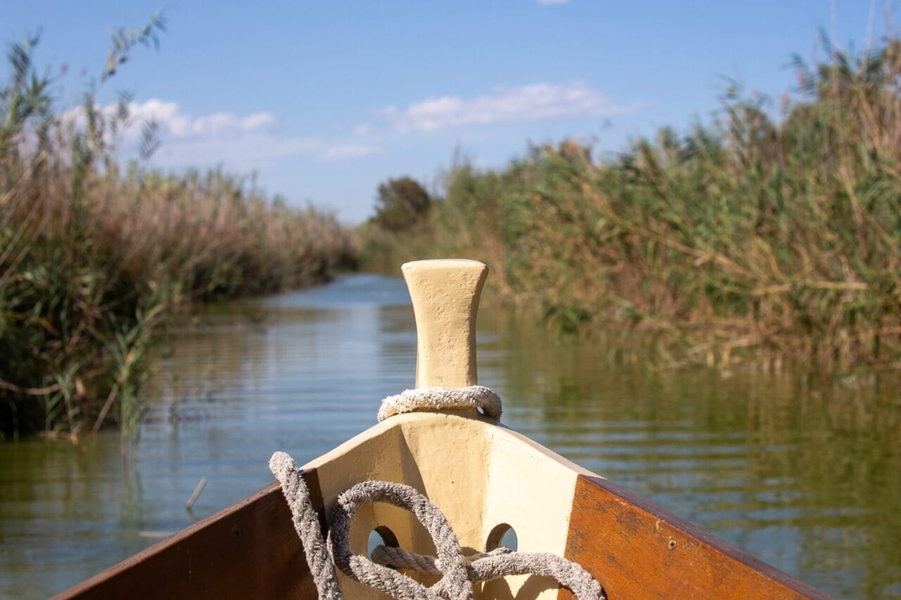 Albufera-Bootsfahrt-Luigi Blick aus einem Boot auf einer schmalen Wasserstraße, mit hohem Schilf auf beiden Seiten unter blauem Himmel. Im Vordergrund sind der Bug und das Seil des Bootes zu sehen.