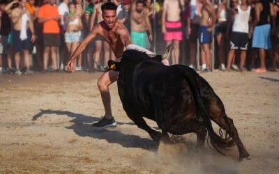 Bous a la Mar in Dénia: Wenn Stiere ins Meer springen