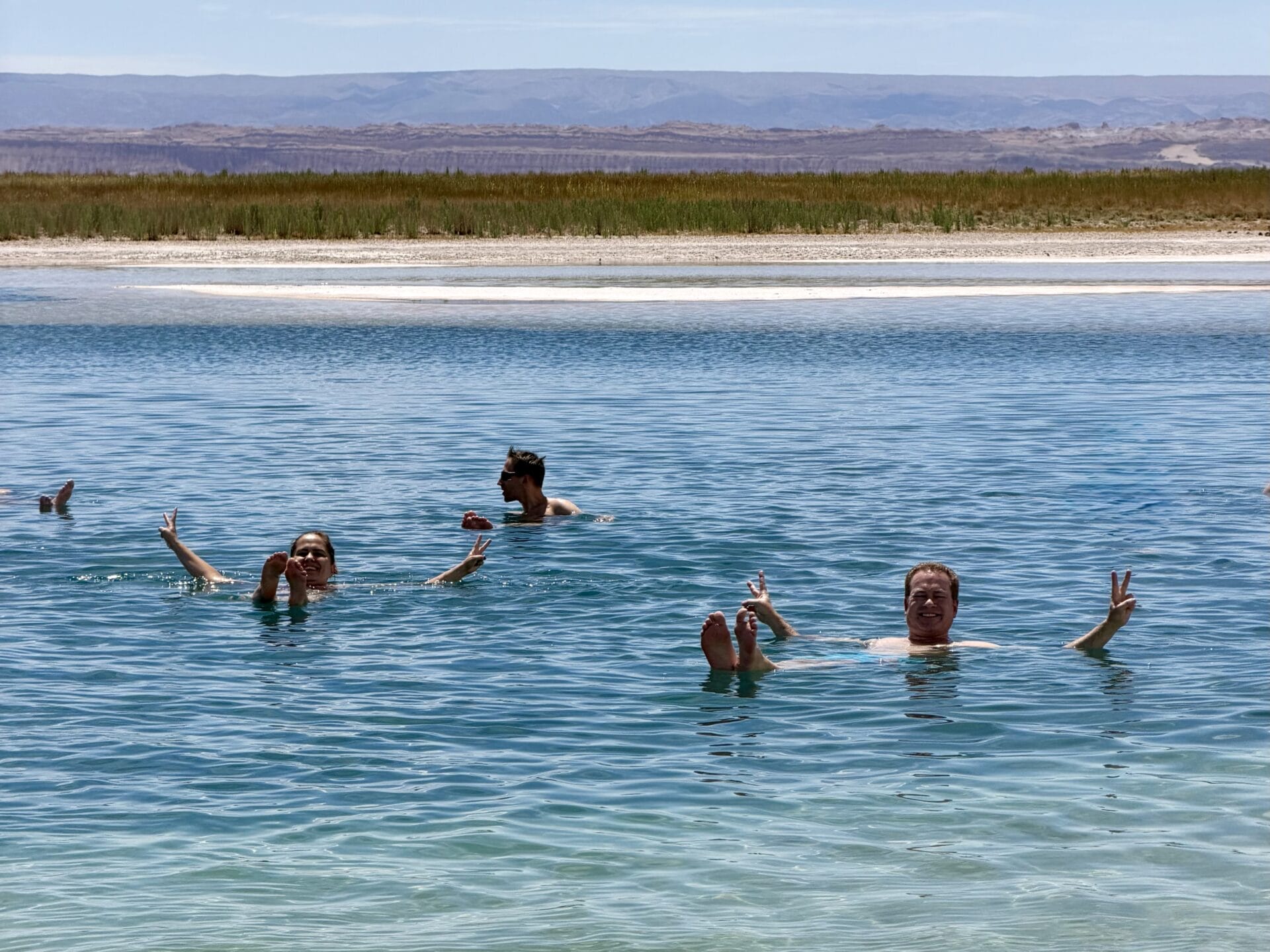 Vier Personen treiben auf dem Rücken im Salzsee Laguna Cejar, im Hintergrund sind Schilf und ferne Hügel unter einem klaren Himmel zu sehen.